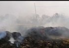 आग लगने से खलिहान में रखा 500 बोझा गेंहू जलकर राख