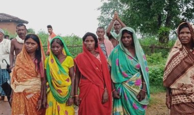 वन भूमि को अवैध रूप से ग्रामीणों को देने के नाम पर वनकर्मी और बिचौलिए ने वसूले पैसे ।