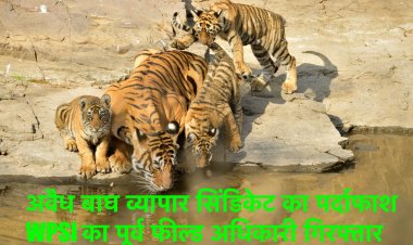 अवैध बाघ व्यापार सिंडिकेट का पर्दाफाश, WPSI का पूर्व फील्ड अधिकारी गिरफ्तार: WCCB