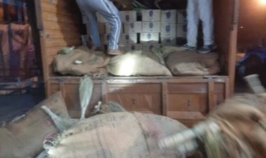 खजूर झाड़ू के नीचे छिपाकर ले जाया जा रहा था शराब, पुलिस ने छापेमारी के दौरान किया 245 पेटी शराब जब्त