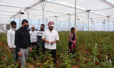 प्रोफेशनल कांग्रेस अध्यक्ष आदित्य ने किया एग्रो टूरिज्म ओपन फील्ड का उद्घाटन