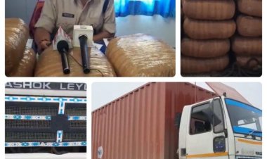 उत्पाद विभाग ने दो करोड़ रुपए मूल्य का गांजा को ज़ब्त किया, एक गिरफ़्तार