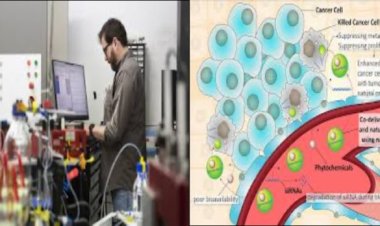 वैज्ञानिकों ने कैंसर प्रसार को रोकनेवाली कोशिका प्रणाली को खोज निकाला