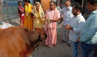 गोवर्धन पूजा पर गायों की हुई विशेष पूजा,अन्नकूट पर लगा 56 भोग