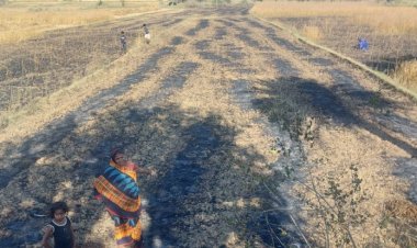 खेत में लगी आग, गेहूं की फसल जलकर राख, नुकसान देख किसान के छलके आंसू