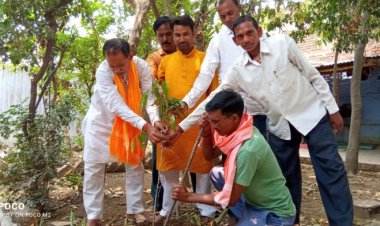 विश्व पर्यावरण दिवस पर किया गया वृक्षारोपण, भाजपा कार्यकर्ताओं ने पेड़ संरक्षण का लिया संकल्प