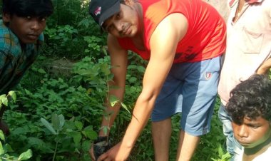 फ्यूचर लाइन कोचिंग सेंटर के विद्यार्थियों एवं शिक्षकों ने मनाया विश्व पर्यावरण दिवस, वृक्ष संरक्षण का संकल्प भी लिया:-मो. दाऊद