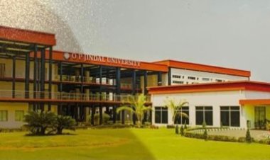 विश्वस्तरीय शिक्षा के साथ साथ बेहतर प्लेसमेंट देता है ओ पी जिंदल विश्व विद्यालय