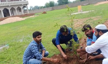 जामिया उस्मान-बिन-अफ्फान मदरसा में पौधरोपण