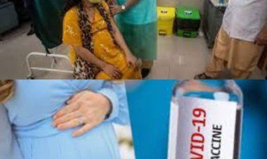 पूर्व केंद्रीय मंत्री सुबोधकांत सहाय मिले राज्यपाल से