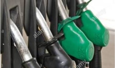 पेट्रोल-डीजल की मूल्यवृद्धि के विरोध में आरजीटीए करेगा आंदोलन