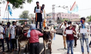पेट्रोल और डीज़ल के बढ़ती कीमत के विरोध में झारखंड कांग्रेस छात्र संगठन एन.एस.यू.आयी का अनोखा विरोध प्रदर्शन।