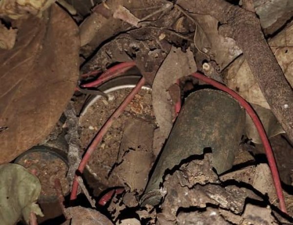 नक्सलियों के मंसूबो पर फिरा पानी