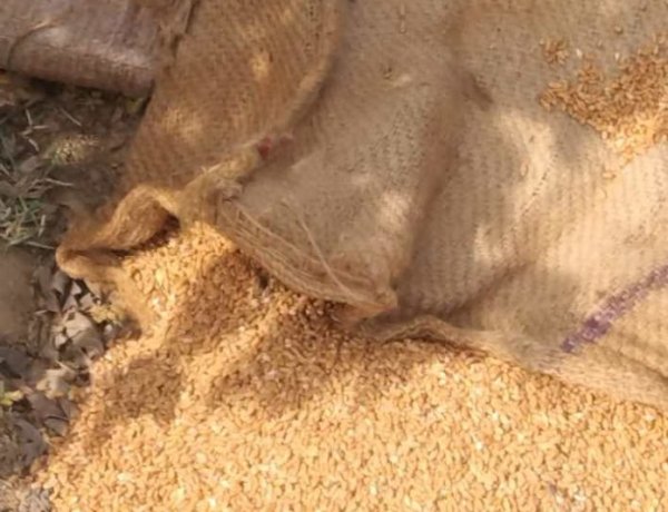 ग़रीबों का निवाला रात के अंधेरे में किया गया आग के हवाले