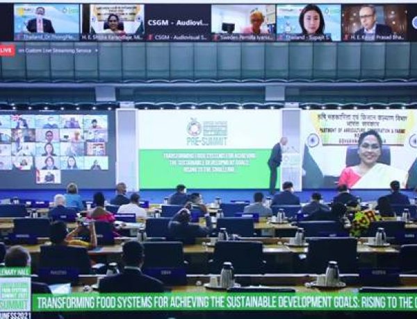 संयुक्त राष्ट्र खाद्य प्रणाली का पूर्व-शिखर मंत्रिस्तरीय गोलमेज सम्मेलन आयोजित