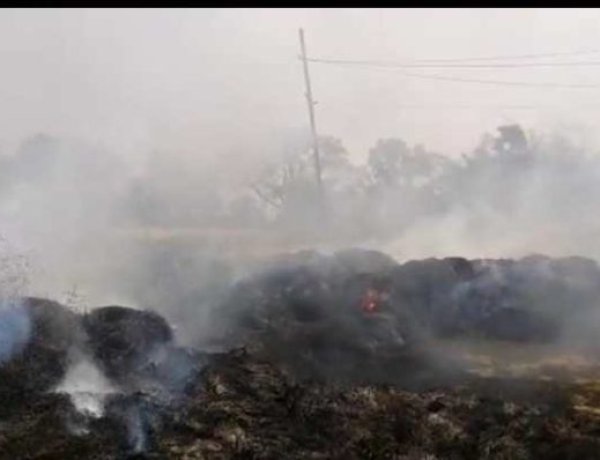 आग लगने से खलिहान में रखा 500 बोझा गेंहू जलकर राख