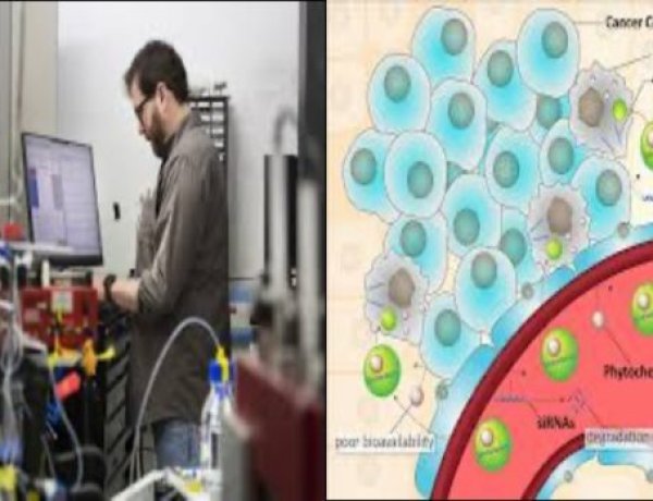 वैज्ञानिकों ने कैंसर प्रसार को रोकनेवाली कोशिका प्रणाली को खोज निकाला