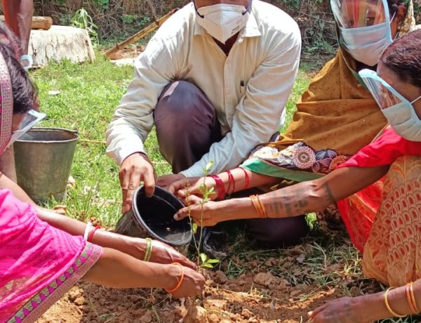 पर्यावरण दिवस पर भारतीय लोक कल्याण संस्थान ने किया पौधरोपण