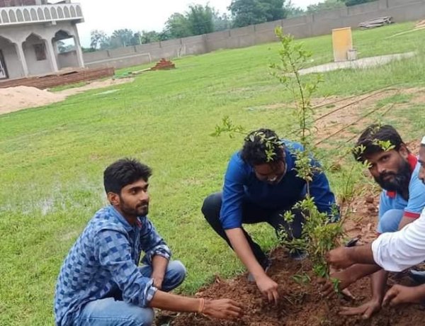जामिया उस्मान-बिन-अफ्फान मदरसा में पौधरोपण