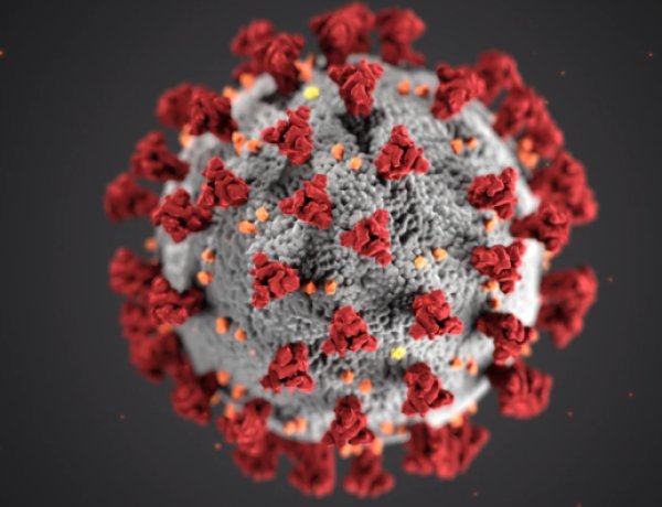 कोरोना का पब्लिक में नही दिख रहा खौफ