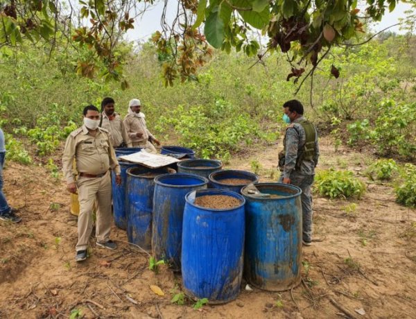 बरही : भगहर में आबकारी विभाग की छापेमारी में भारी मात्रा में देशी शराब बरामद, 1 गिरफ्तार