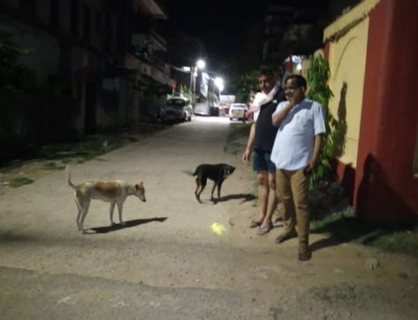 लाॅकडाउन में लावारिस जानवरों की भी बढ़ी परेशानी