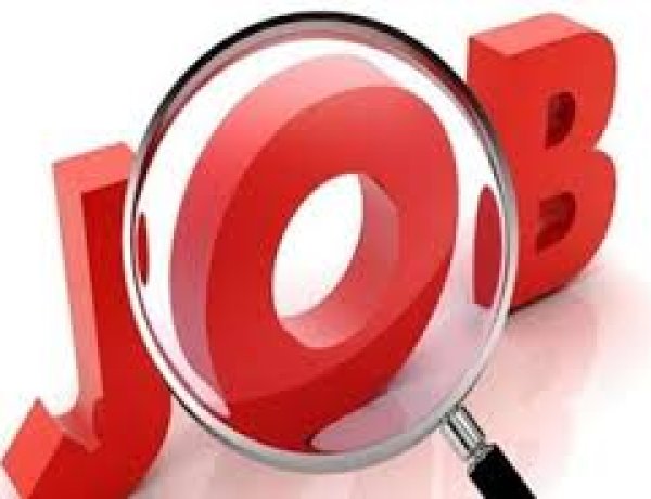 बिहार : युवाओं के लिए बड़ी खबर 1767 अमीन और 1387 इंजीनियर पदों के लिए निकली भर्ती