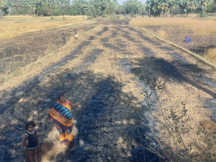 खेत में लगी आग, गेहूं की फसल जलकर राख, नुकसान देख किसान के छलके आंसू