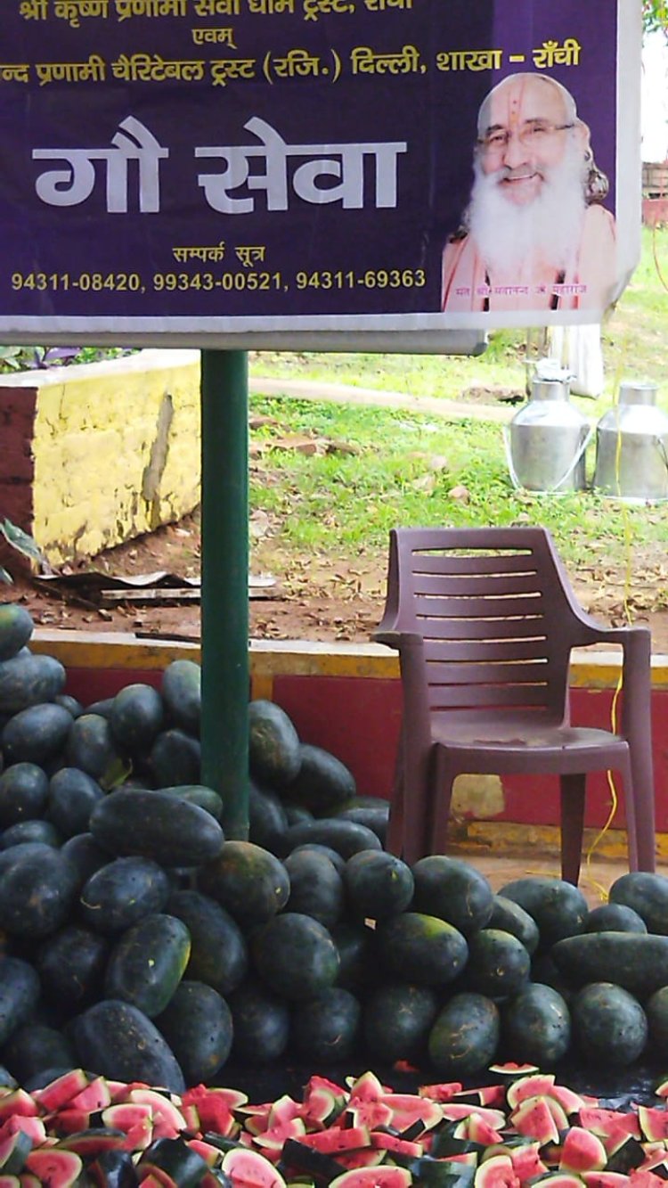 श्रीकृष्ण प्रणामी सेवा धाम ट्रस्ट ने किसानों से खरीदा तरबुज, की गौ सेवा