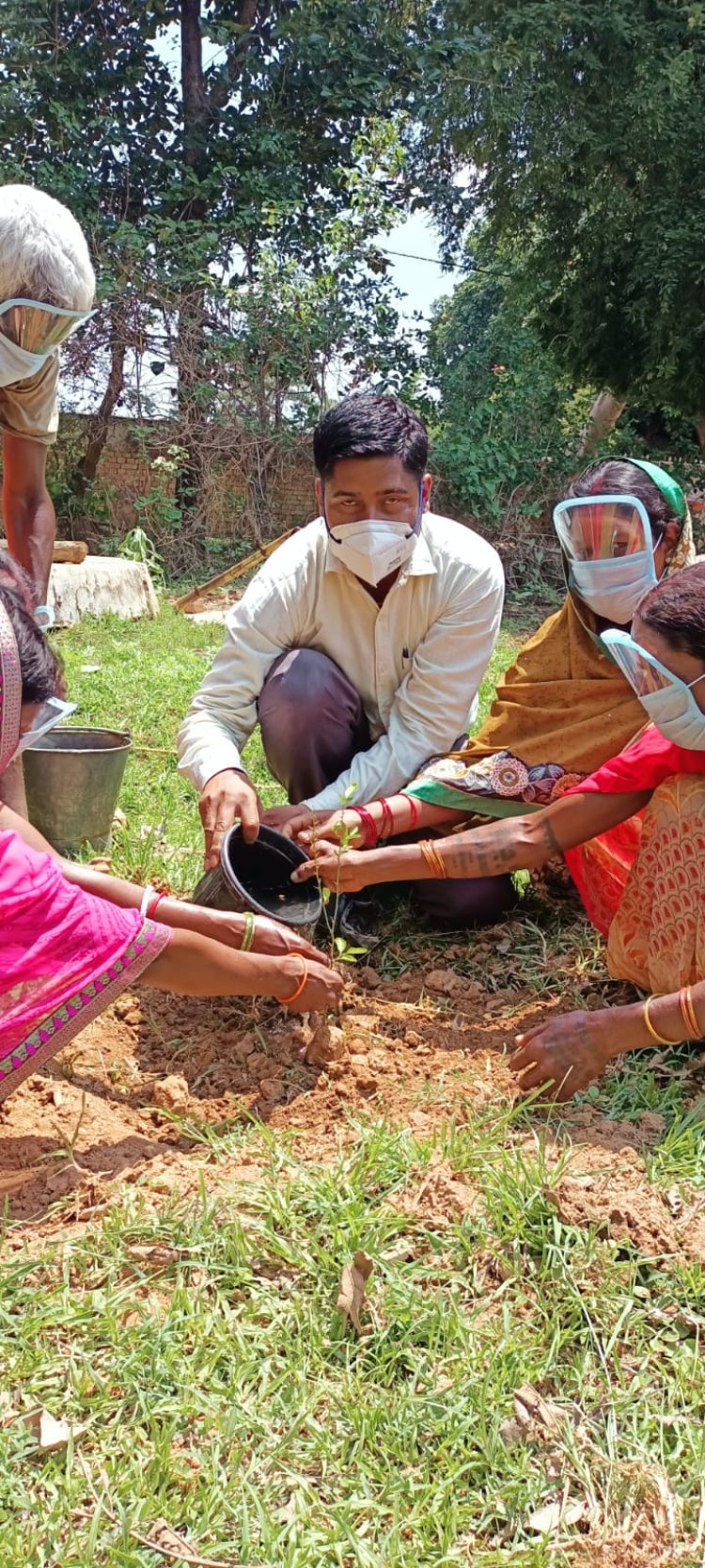 पर्यावरण दिवस पर भारतीय लोक कल्याण संस्थान ने किया पौधरोपण