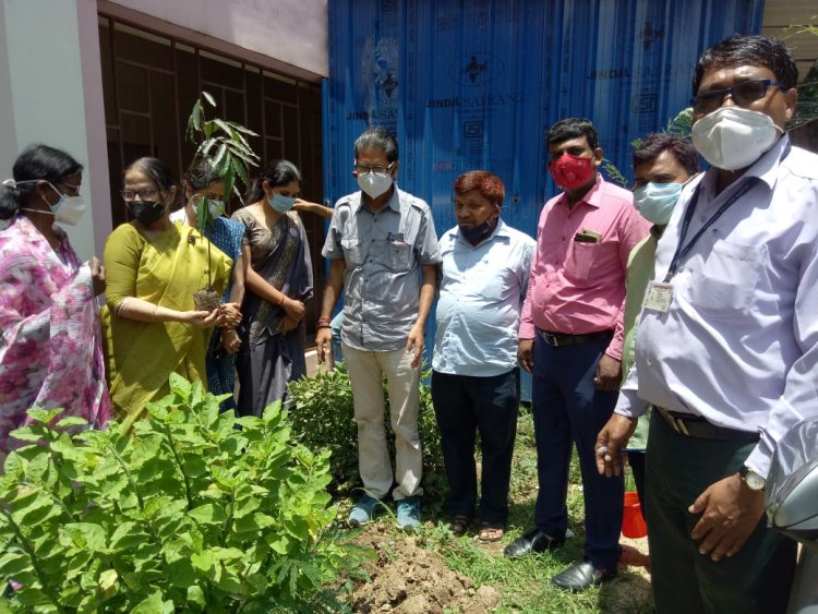 पर्यावरण को बचाने के लिए सभी को आगे आना होगा: डॉ.जेबा