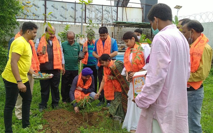 कोरोना काल में दिवंगत हुए पत्रकारों की स्मृति में साईं मंदिर में पौधारोपण