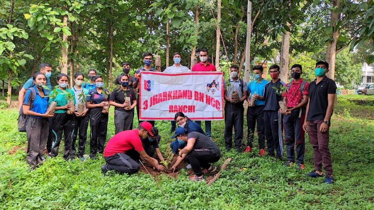संत जेवियर कॉलेज के एनसीसी कैडेट्स ने कारगिल दिवस के अवसर पर शहीदों की स्मृति में पौधारोपण कर दी श्रद्धांजलि