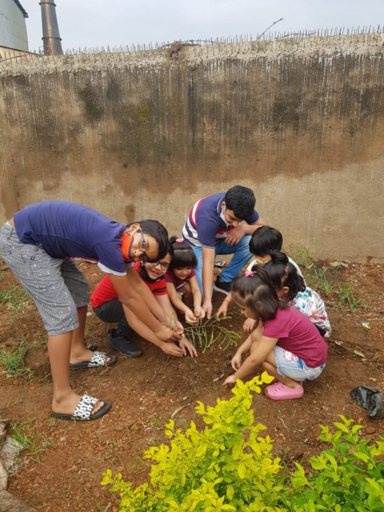 जेसीआई रांची उड़ान ने किया पौधरोपण