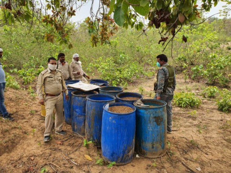 बरही : भगहर में आबकारी विभाग की छापेमारी में भारी मात्रा में देशी शराब बरामद, 1 गिरफ्तार