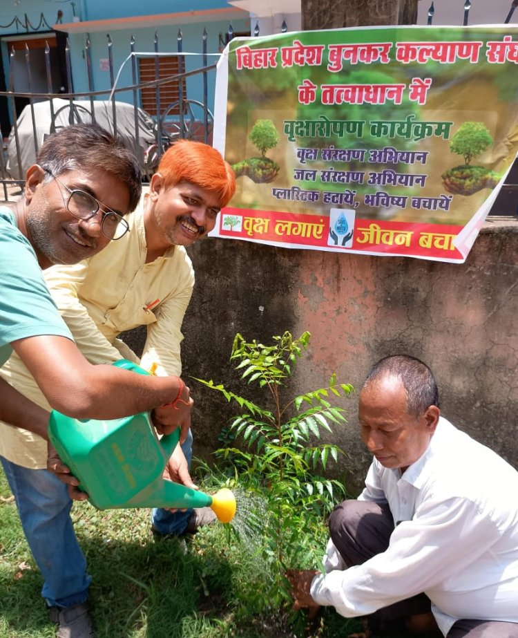 पौधा रोपण सभी के लिए जरूरी:- प्रकाश पटवा