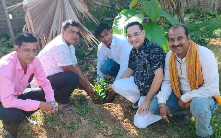 मगध वेस्टेज डीलर एसोसिएशन किया पौधारोपण