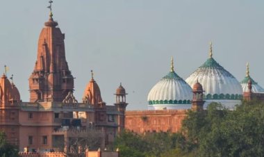 Mathura Controversy: श्रीकृष्ण जन्मभूमि-शाही ईदगाह केस में इलाहाबाद हाईकोर्ट से मुस्लिम पक्ष को झटका, ट्रायल होगा
