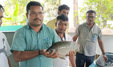 मत्स्य कृषकों को हरसंभव सहयोग देने को तत्पर है मत्स्य निदेशालय: डॉ.एचएन द्विवेदी 