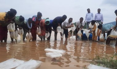 छोटे जलाशयों में महाझींगा पालन से मत्स्य कृषकों की बढ़ेगी आर्थिक समृद्धि : डॉ.एचएन द्विवेदी 