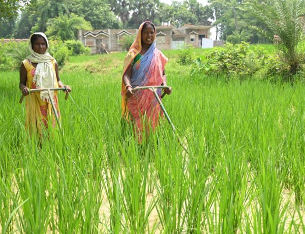 महिला सशक्तिकरण : 2.59 लाख सखी मंडलों को बैंक क्रेडिट लिंकेज से जोड़ा गया