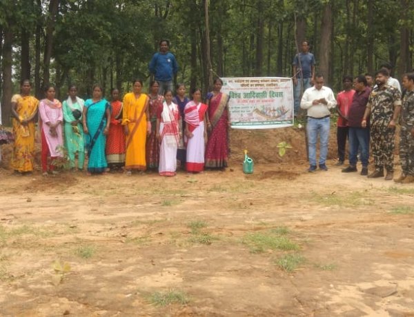 पर्यावरण संरक्षण के लिए पेड़ पौधे लगाना जरूरी: कमलेश कुमार सिंह 