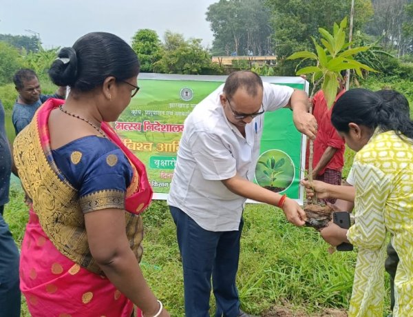 पौधे हमें जीवनदायिनी ऑक्सीजन देते हैं, इसकी रक्षा जरूरी : डॉ.एचएन द्विवेदी
