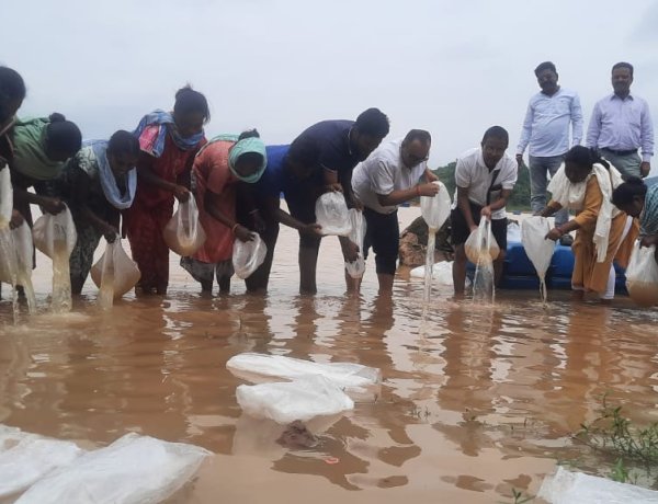 छोटे जलाशयों में महाझींगा पालन से मत्स्य कृषकों की बढ़ेगी आर्थिक समृद्धि : डॉ.एचएन द्विवेदी 