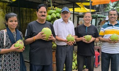 नारियल को पवित्र फल क्यों मानते हैं? जानिए भारतीय संस्कृति के सबसे पवित्र फल के रहस्य...