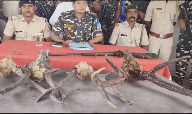 अवैध शिकार पर बड़ी कार्रवाई,सशस्त्र सीमा बल (एसएसबी)  ने 4 हिरनों के कीमती सींग के साथ हथियार बरामद किया