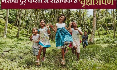 खुशहाली के बीज: कैसे वनीकरण भारत में कर सकता है गरीबी मिटाने में मदद