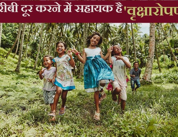 खुशहाली के बीज: कैसे वनीकरण भारत में कर सकता है गरीबी मिटाने में मदद