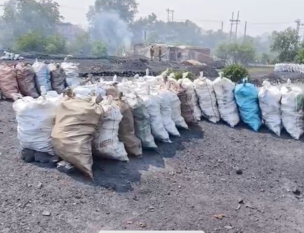बोरियों में भरकर की जा रही कोयले की चोरी, छापेमारी में कई टन अवैध कोयला  जब्त