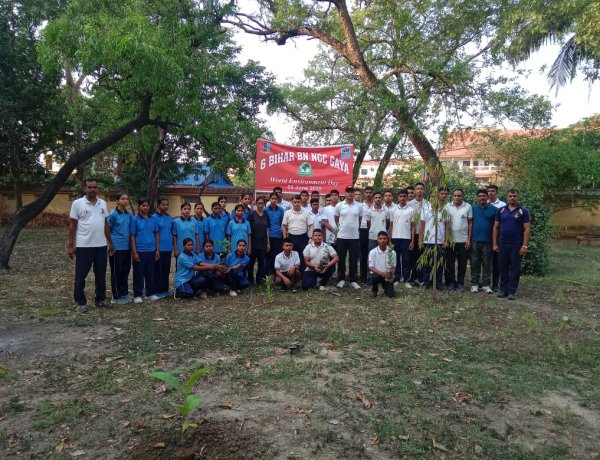 एनसीसी कैडेट्स ने विश्व पर्यावरण दिवस पर किया वृक्षारोपण